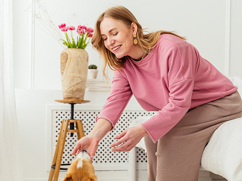 Meno Mojo | Menopause Health Coach